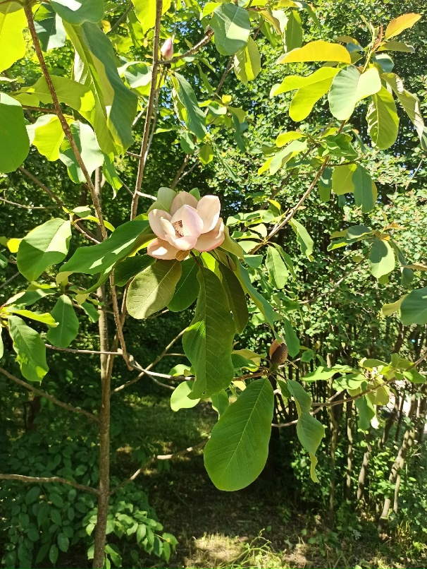 Наталья Силина | Кингисепп