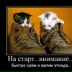 Страница Sachka Zaretskiy : анкета, фото, подписчики | ВКонтакте