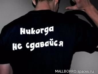 Андрей Офицеров | Сокол