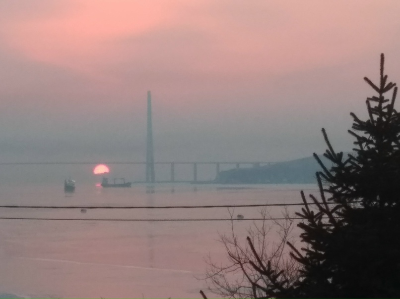 Елена Алтухова | Владивосток