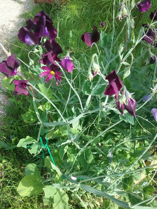 Ольга Захарова | Москва