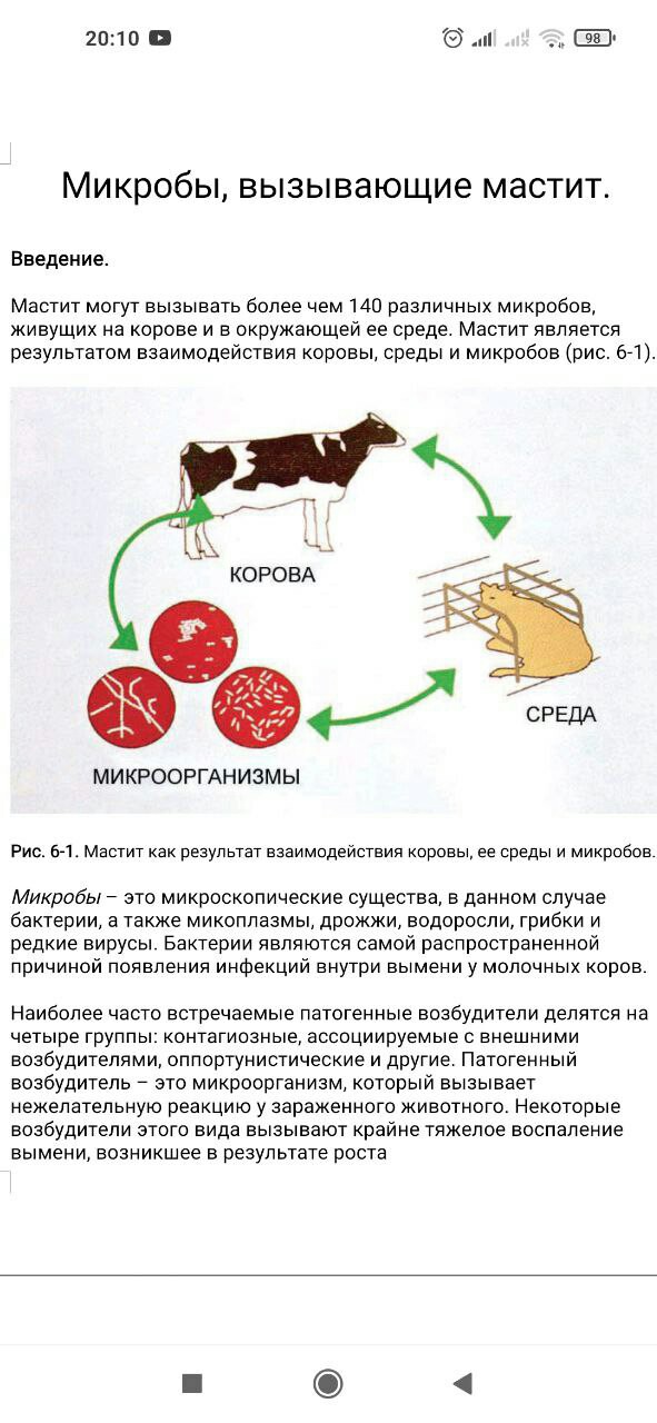 Евгений Набоков El Magnifico | Monaco