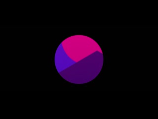 FUJI VIDEO
