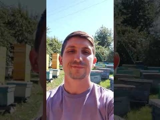 натуральный мёд с пасеки, липа, разнотравье, донник