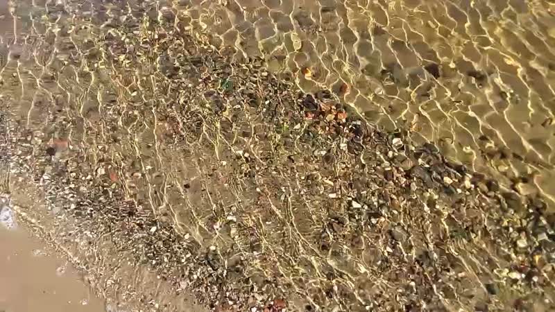 Прогулка по пляжу на юге Волгограда Walk along the beach in the south of
