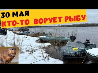 КРОВЬ НА СНЕГУ !!! КТО ВОРУЕТ РЫБУ! ТЕЛЕГА В ОПИСАНИЕ!!