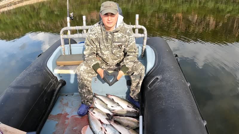 ГОРБУША. Рыбалка продолжается, PINK. Fishing