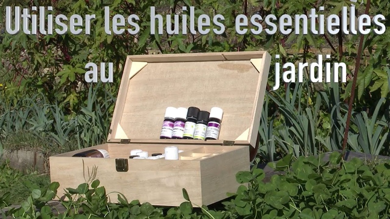 Utiliser 5 huiles essentielles pour protéger fruitiers et