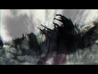 Sgt. Penarlaster и Дикии Брат (Фантастрон) - И обратно
