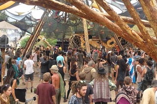 Freqs of Nature 2015  Procs Live