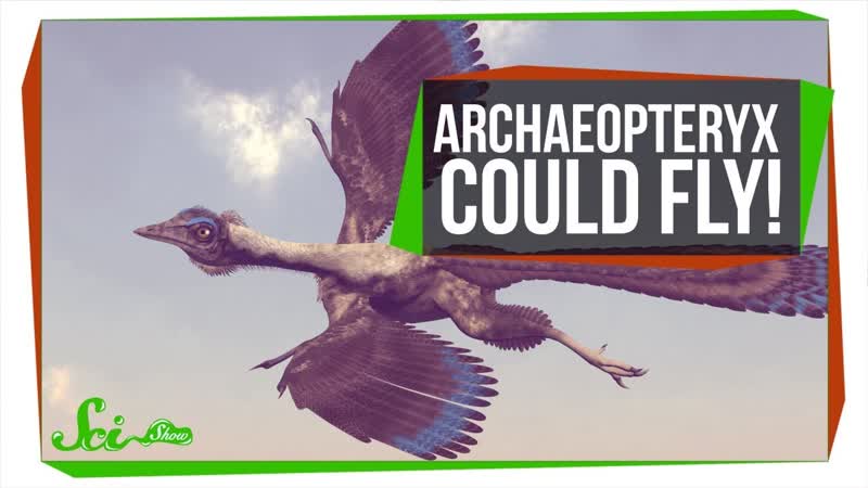 The First Known Bird Could Fly, But Super