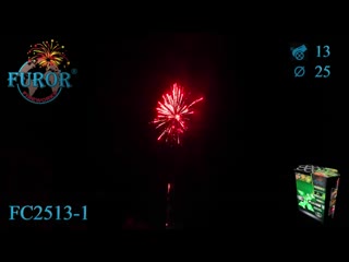 Салютна установка FC2513-1