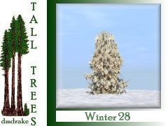 Winter28