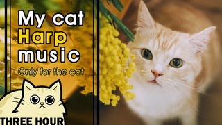 [MY CAT HARP MUSIC] 고양이가 좋아하는 음악 봄을 닮은 달달한 하프소리 (lullaby for a cat, ねこハーフ&