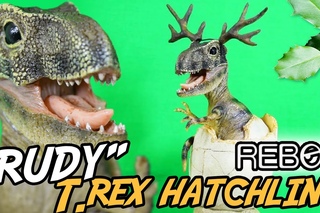 Rebor® | “Rudy“ T. rex | Baby Hatchling | Club Selection Limited Edition