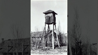 Варлам Шаламов  -《 До космодрома 》: Музыкальная поэзия