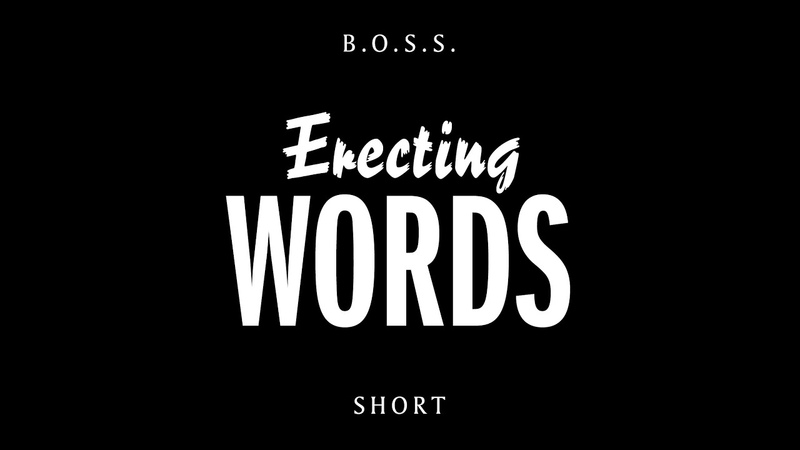 Erecting Words: William H. Gass Willie Masters Lonesome