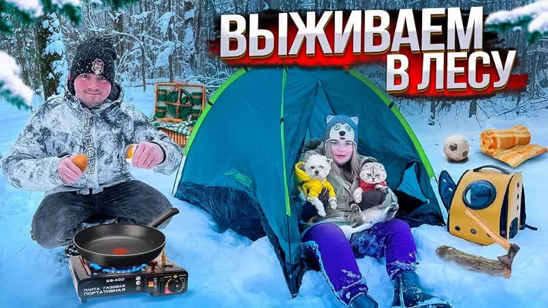 24 ЧАСА ВЫЖИВАЕМ В ГОРЯЧЕЙ ПАЛАТКЕ В ЛЕСУ С КОТОМ И СОБАКОЙ,