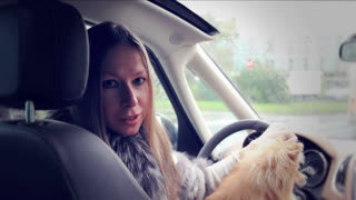 Лиса Рулит: Season 1 - Перекупы. Не Покупайте Машины У Телефонных ЛГУНОВ. Лиса Рулит.