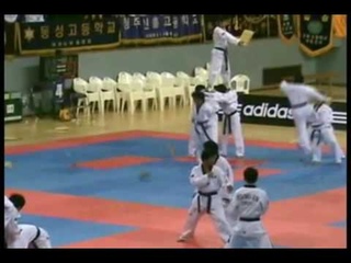 Покзательные выступления команды Тхэквондо ВТФ Кореи